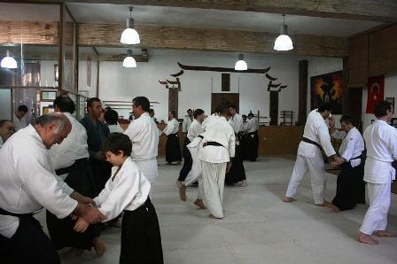 aikido2011